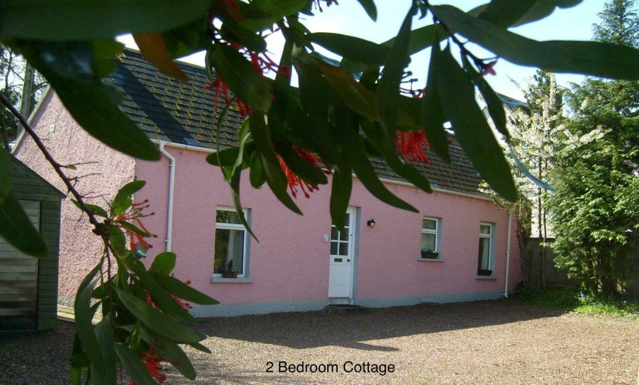 Hallmount - Сasa de vacaciones Belfast
